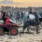 Украли даже ослов: Израиль лишает Газу последнего средства передвижения