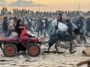 Украли даже ослов: Израиль лишает Газу последнего средства передвижения