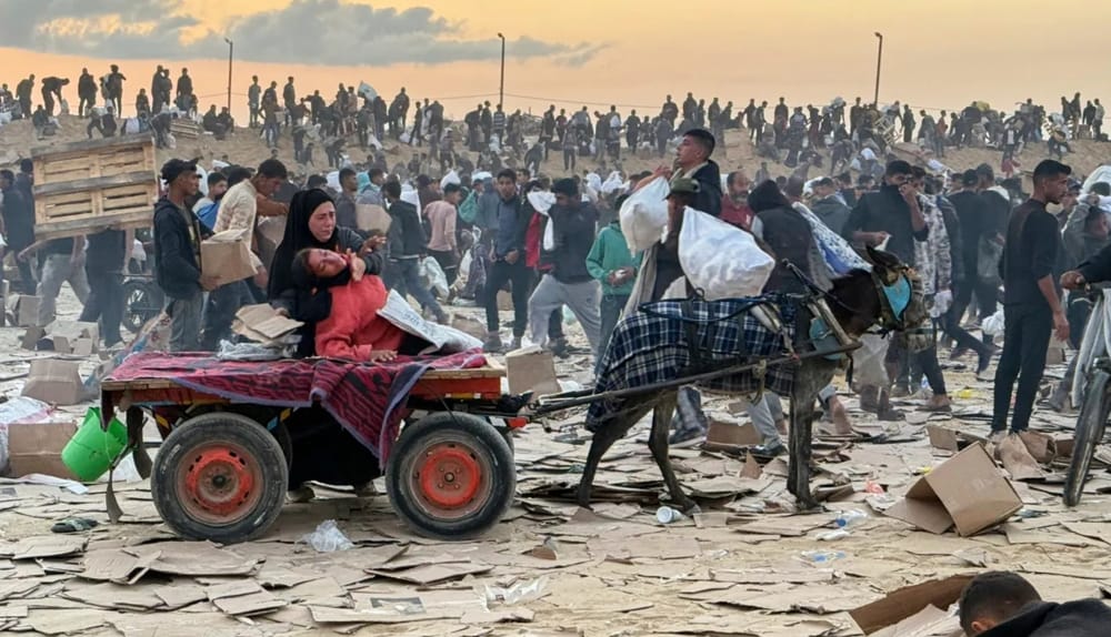 Украли даже ослов: Израиль лишает Газу последнего средства передвижения