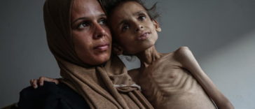 Фламандцы обвиняют Израиль в геноциде: 75% требуют санкций