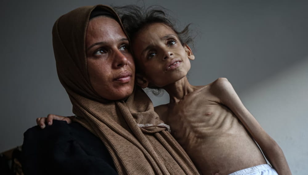 Фламандцы обвиняют Израиль в геноциде: 75% требуют санкций