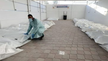 120 тел из Газы: у многих следы пыток, опознать почти невозможно