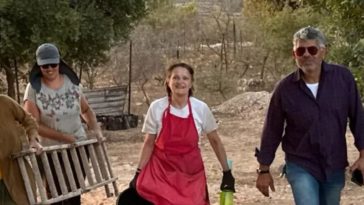 Хильде из Бельгии защищает ферму палестинской христианской семьи от поселенцев