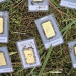 В Германии мужчина нашёл золото в траве, но сразу сообщил об этом властям