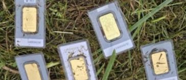В Германии мужчина нашёл золото в траве, но сразу сообщил об этом властям