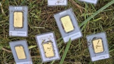 В Германии мужчина нашёл золото в траве, но сразу сообщил об этом властям