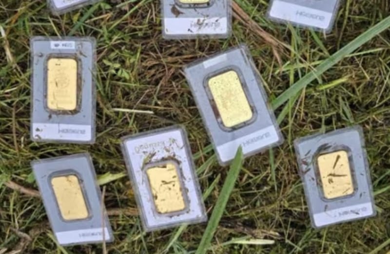 В Германии мужчина нашёл золото в траве, но сразу сообщил об этом властям