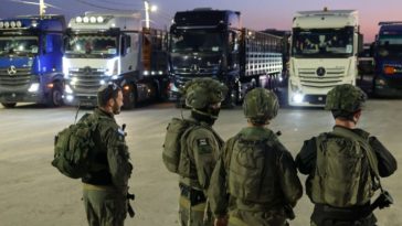 Французский историк: израильская армия покрывала мародёров гуманитарных конвоев