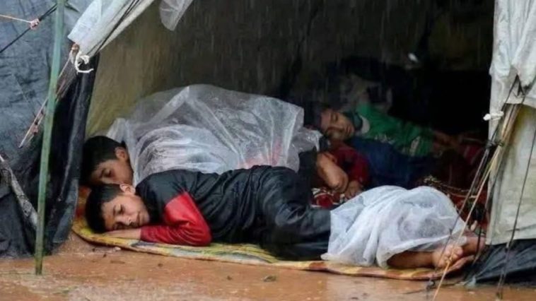 «Людям нужны одеяла, а не iPhone»: помощь в Газе блокируется под предлогом dual use