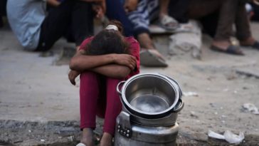 «Перемирие — ложь»: координатор Врачи без границ рассказала о продолжающихся ударах по Газе