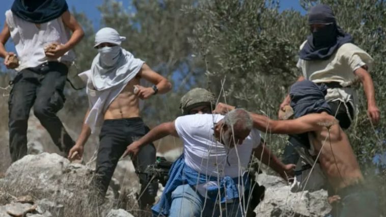 «Палестинцев казнят на месте»: журналистка Мариам Баргути — о скрытой войне на Западном берегу