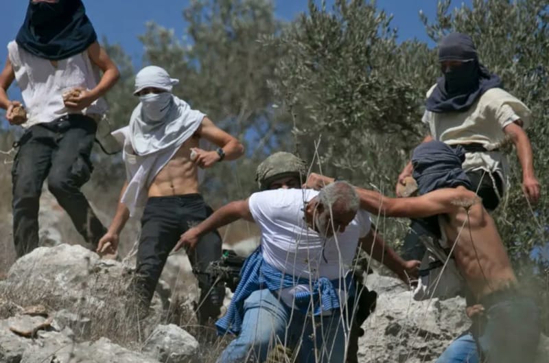 «Палестинцев казнят на месте»: журналистка Мариам Баргути — о скрытой войне на Западном берегу