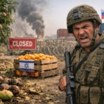 Израильские фермеры на грани: бойкот из-за Газы рушит аграрный экспорт