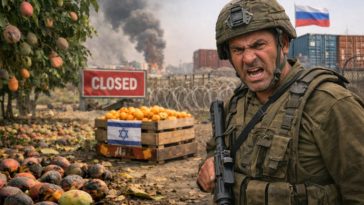 Израильские фермеры на грани: бойкот из-за Газы рушит аграрный экспорт