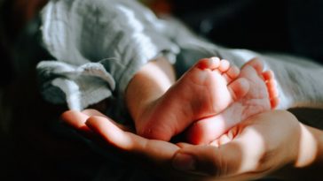 Франция рассылает письма всем 29-летним, призывая задуматься о детях: «Биологические часы тикают»