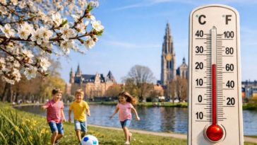 Весна врывается в февраль: до 20 градусов уже на следующей неделе